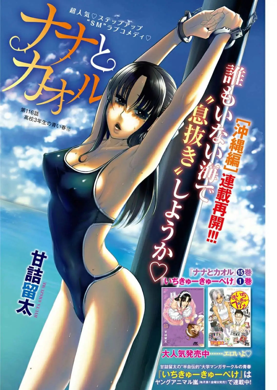 Nana To Kaoru: Black Label capítulo 138 página 24