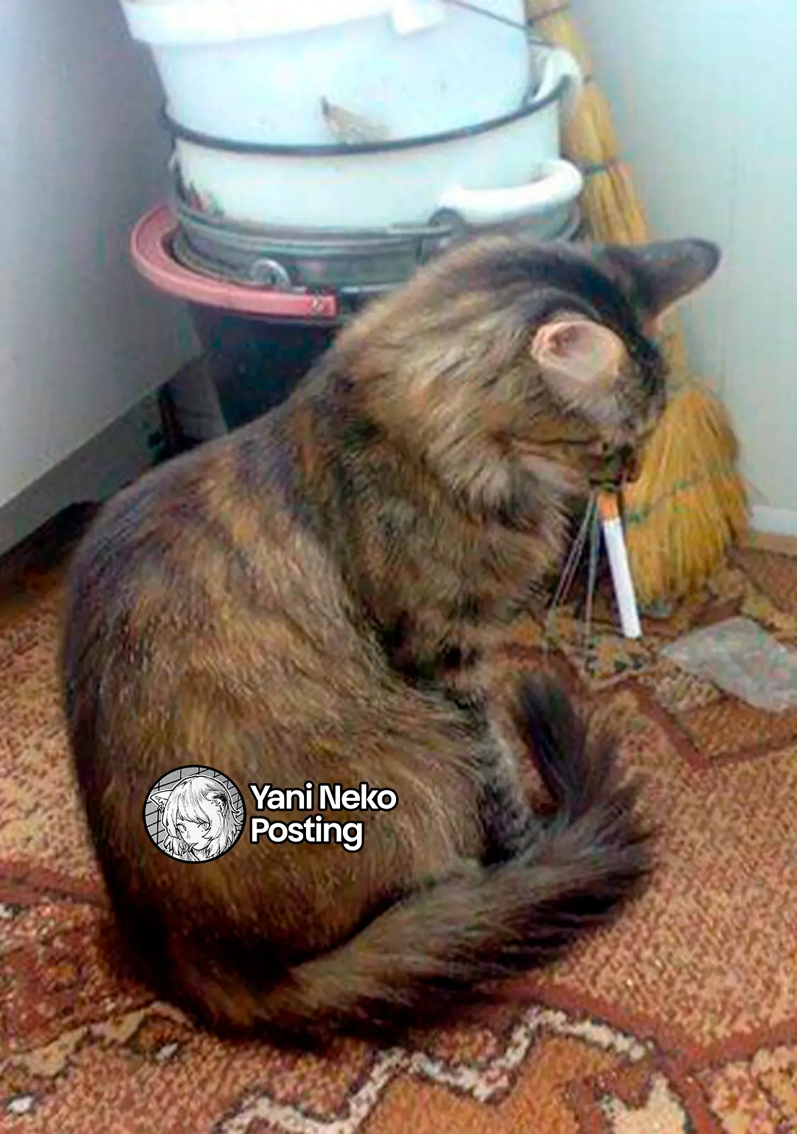 NICOTINEKO capítulo 110 página 5