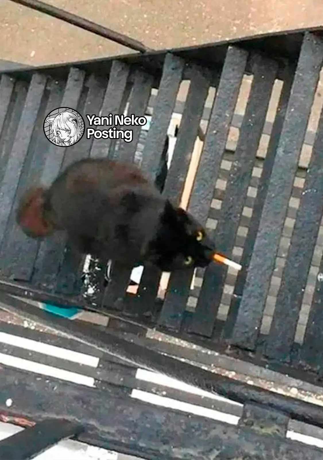NICOTINEKO capítulo 111 página 5