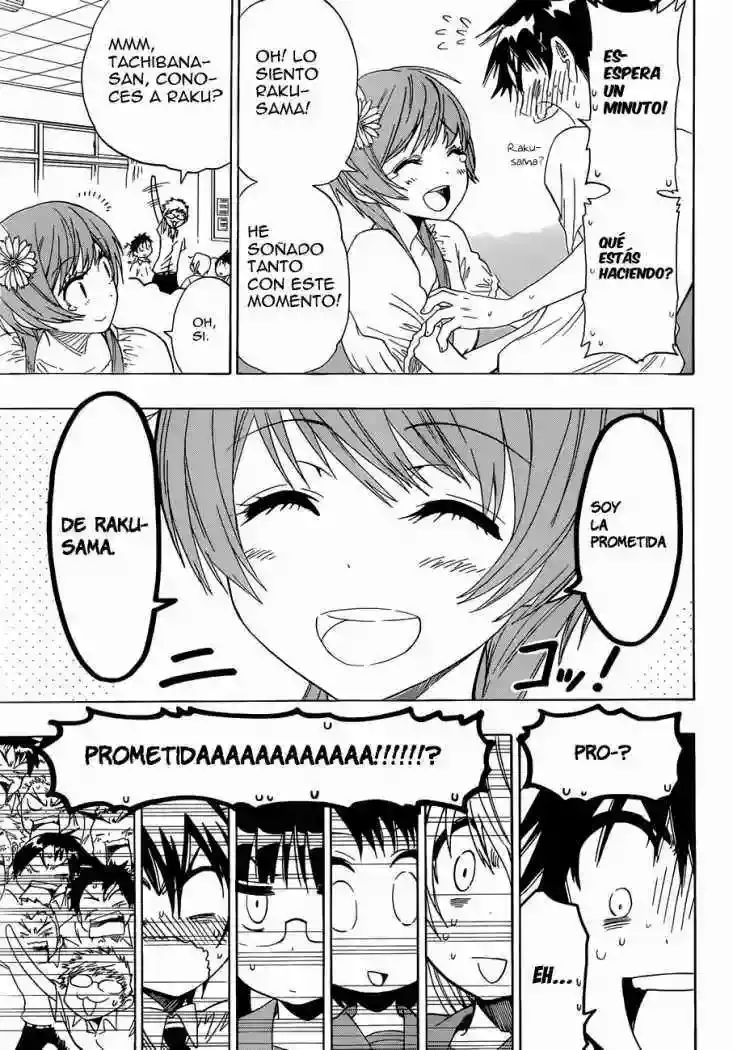 Nisekoi capítulo 33 página 8
