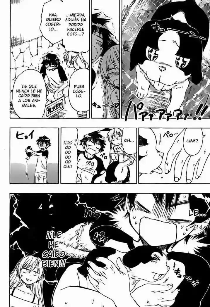 Nisekoi capítulo 41 página 4