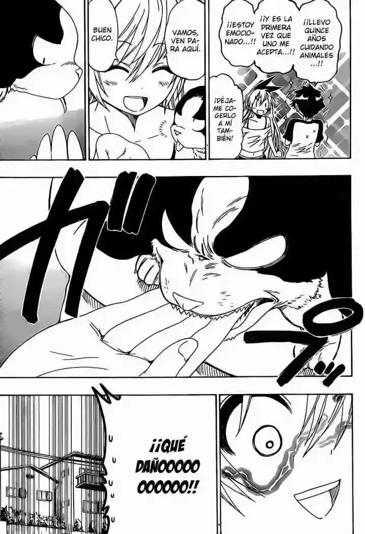 Nisekoi capítulo 41 página 5