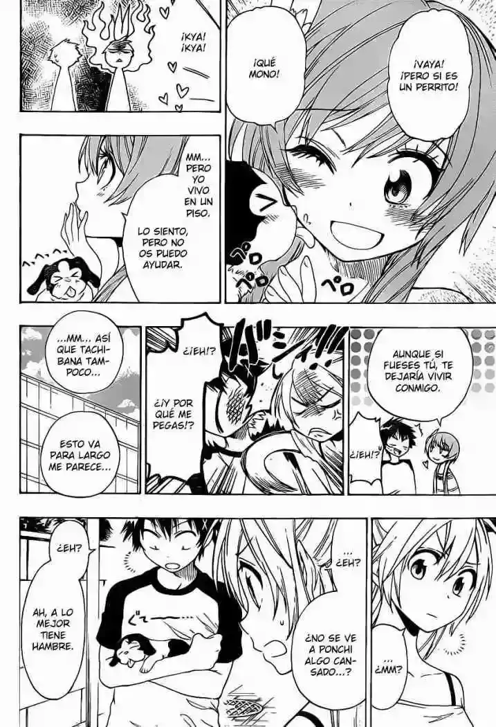 Nisekoi capítulo 41 página 10