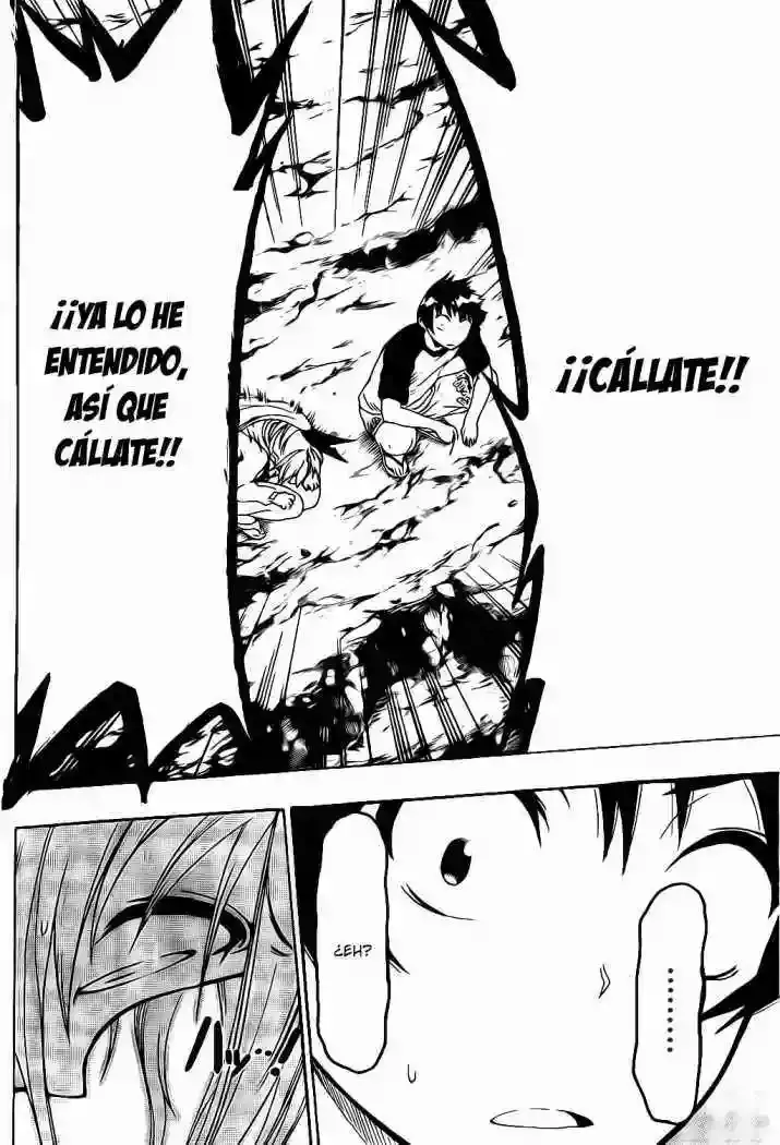 Nisekoi capítulo 45 página 18