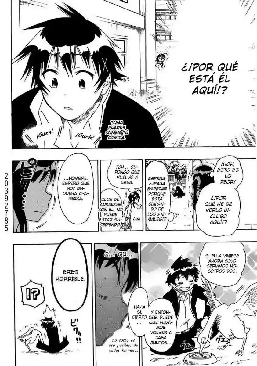 Nisekoi capítulo 76 página 14