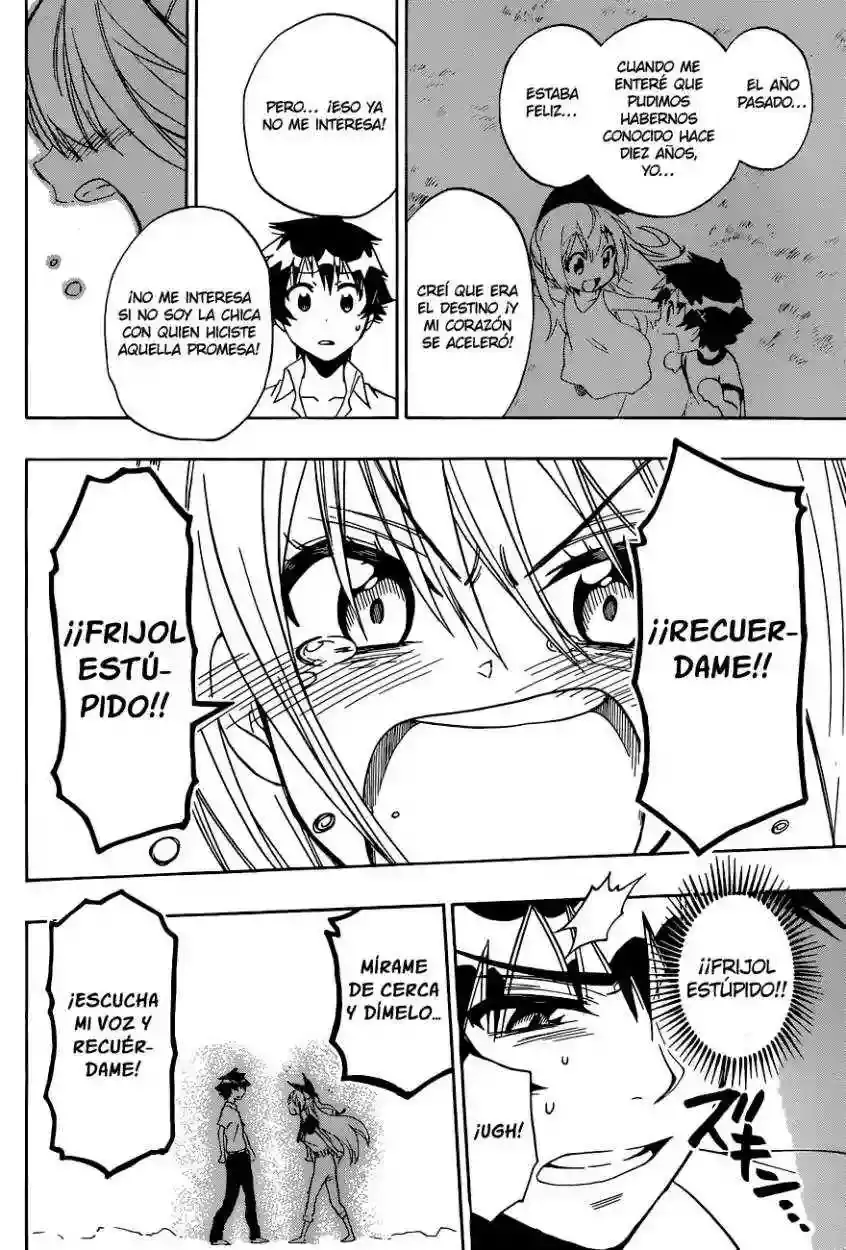 Nisekoi capítulo 91 página 13