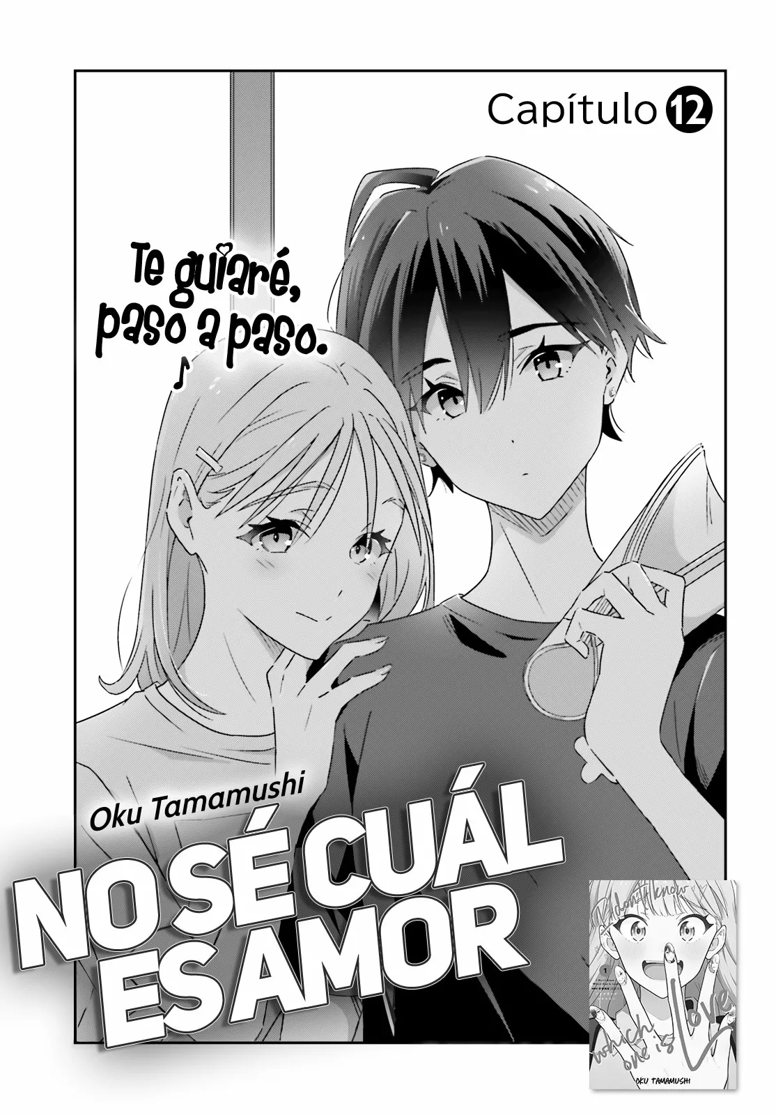 No Sé Cual Es Amor capítulo 12 página 2