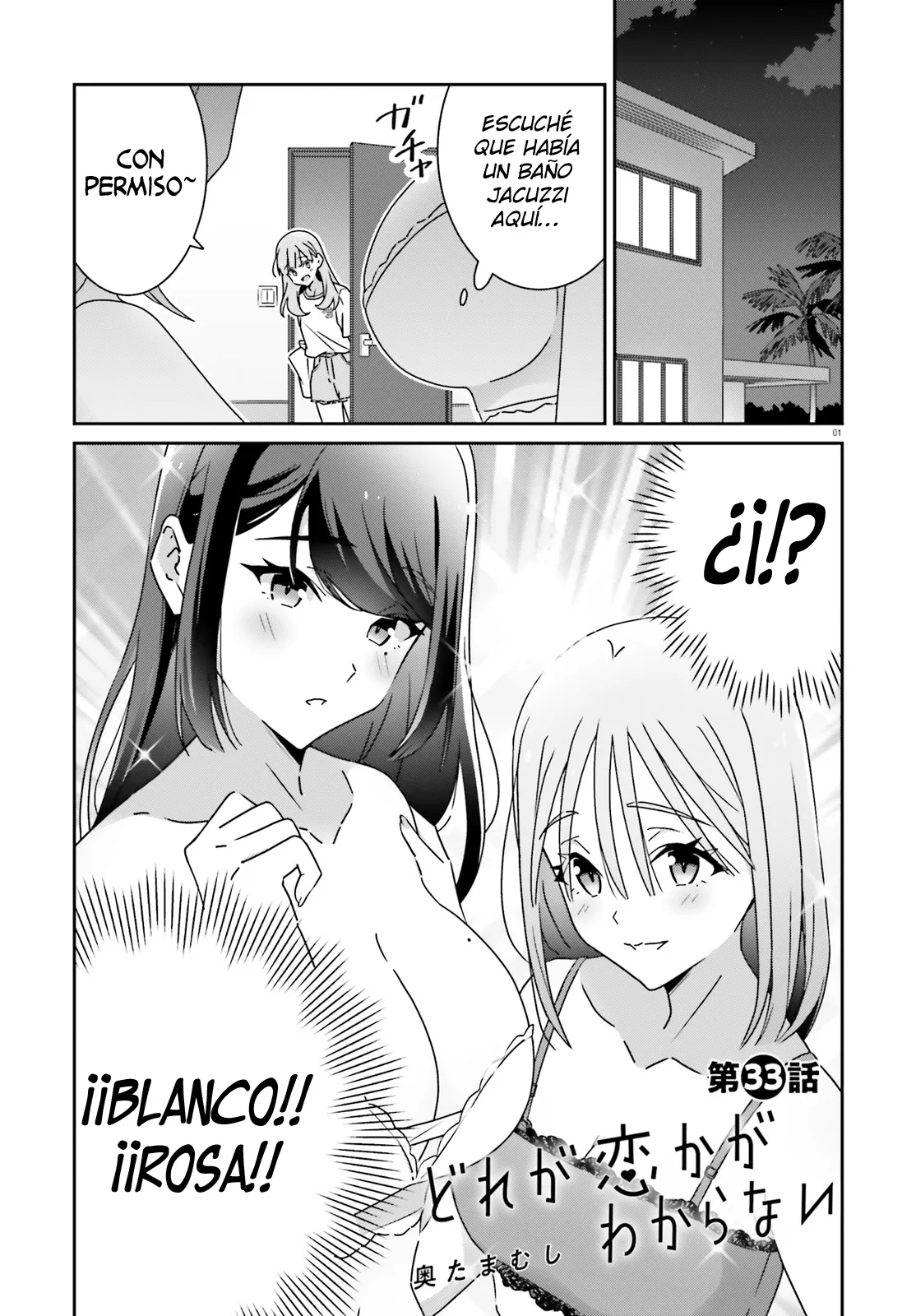 No Sé Cual Es Amor capítulo 33 página 5