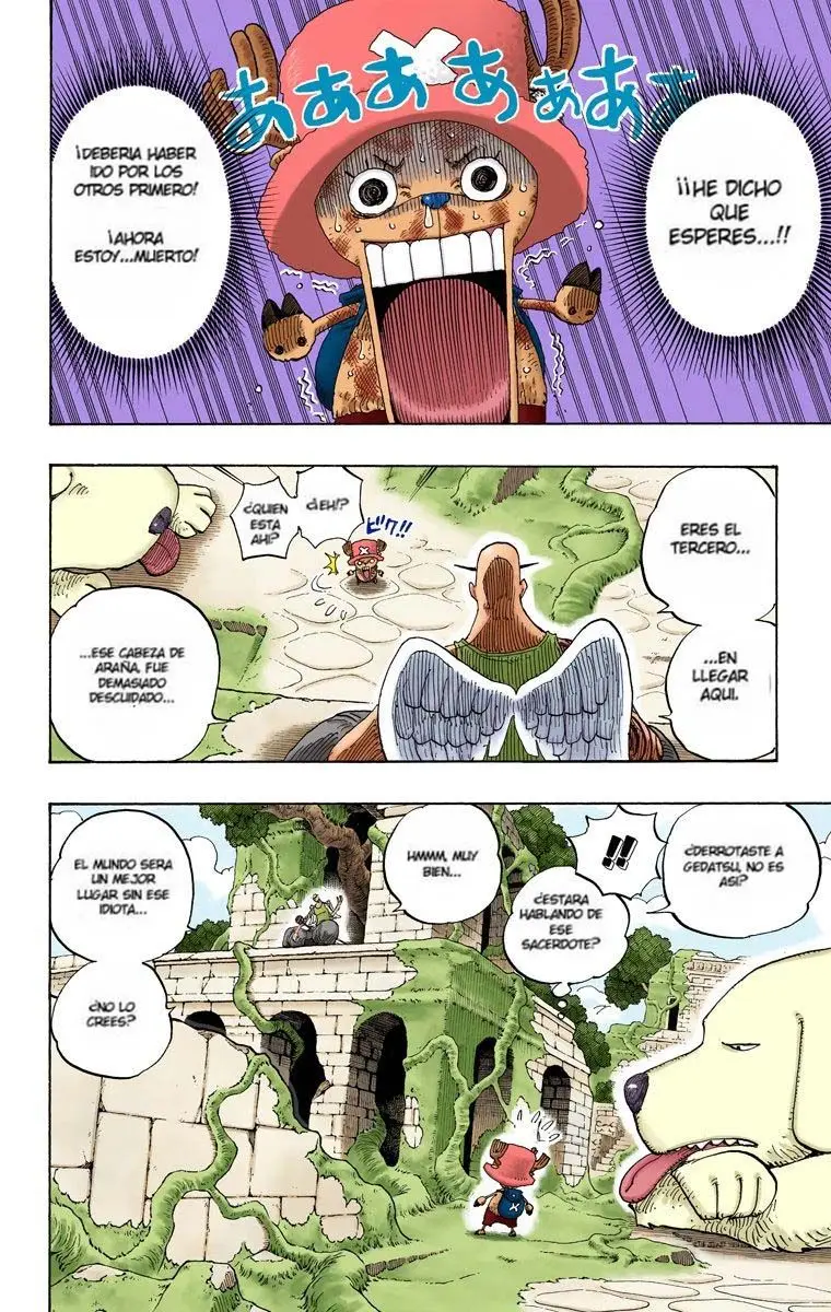 One Piece color capítulo 266 página 8