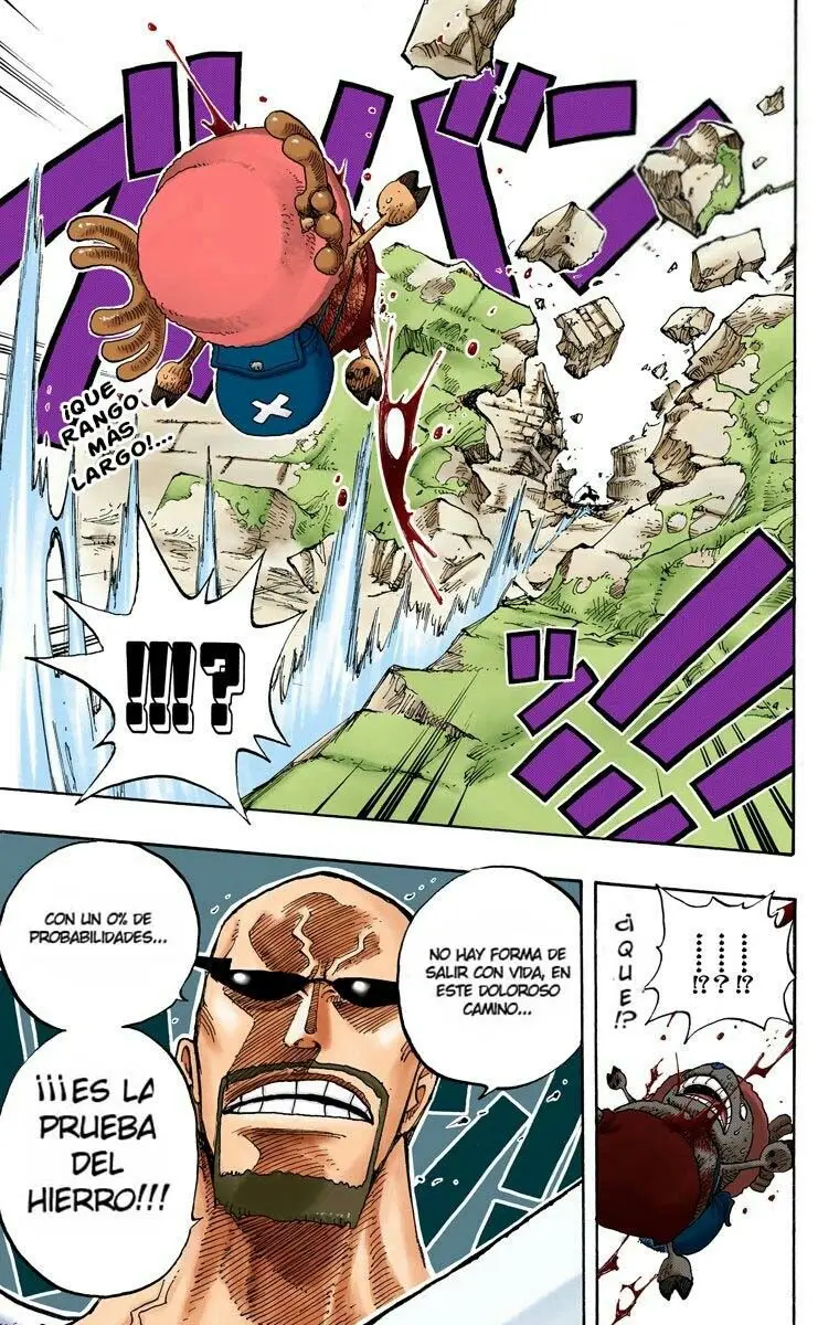 One Piece color capítulo 266 página 19