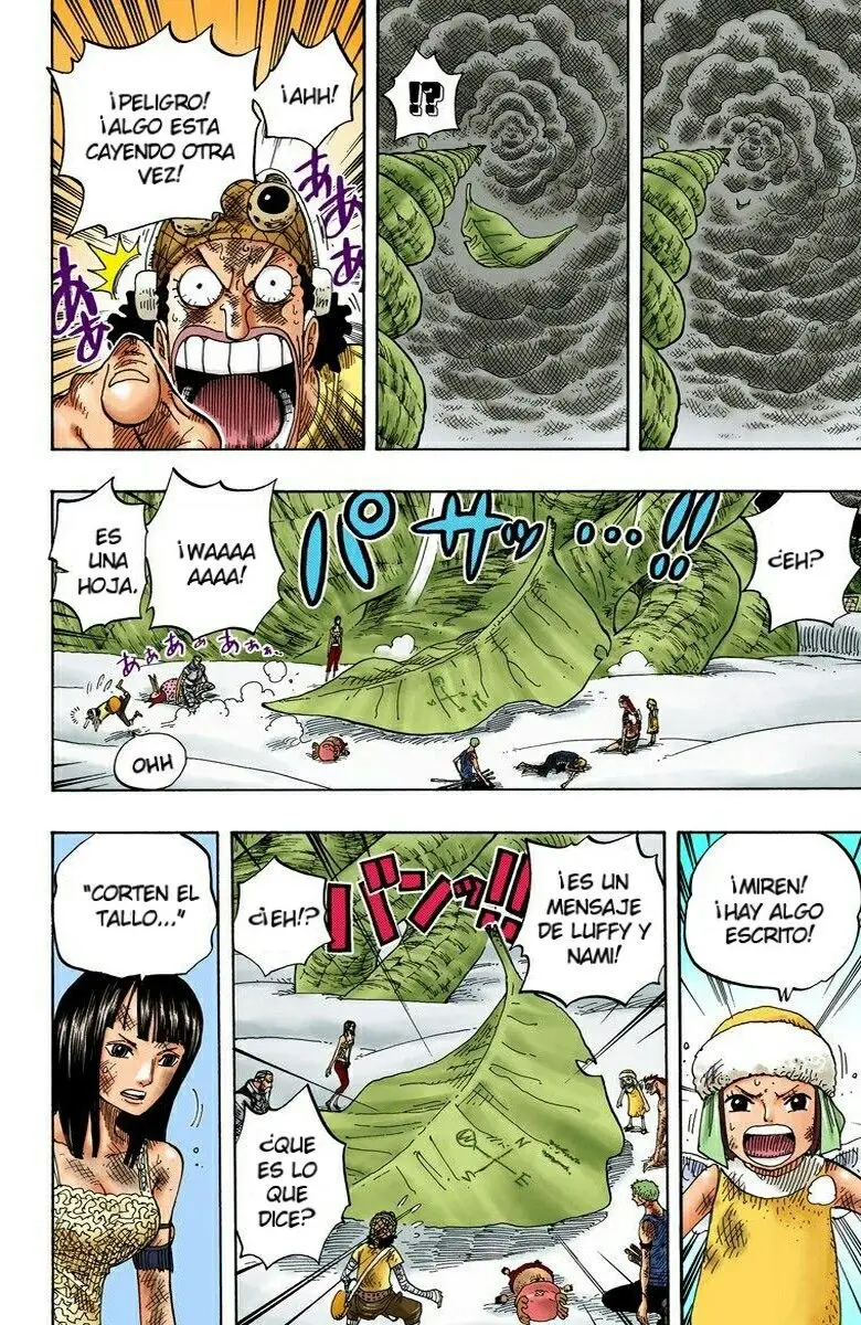 One Piece color capítulo 295 página 11