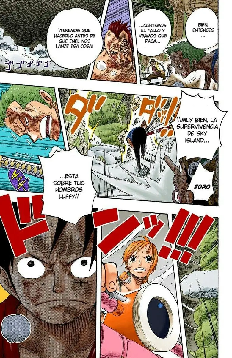 One Piece color capítulo 295 página 17