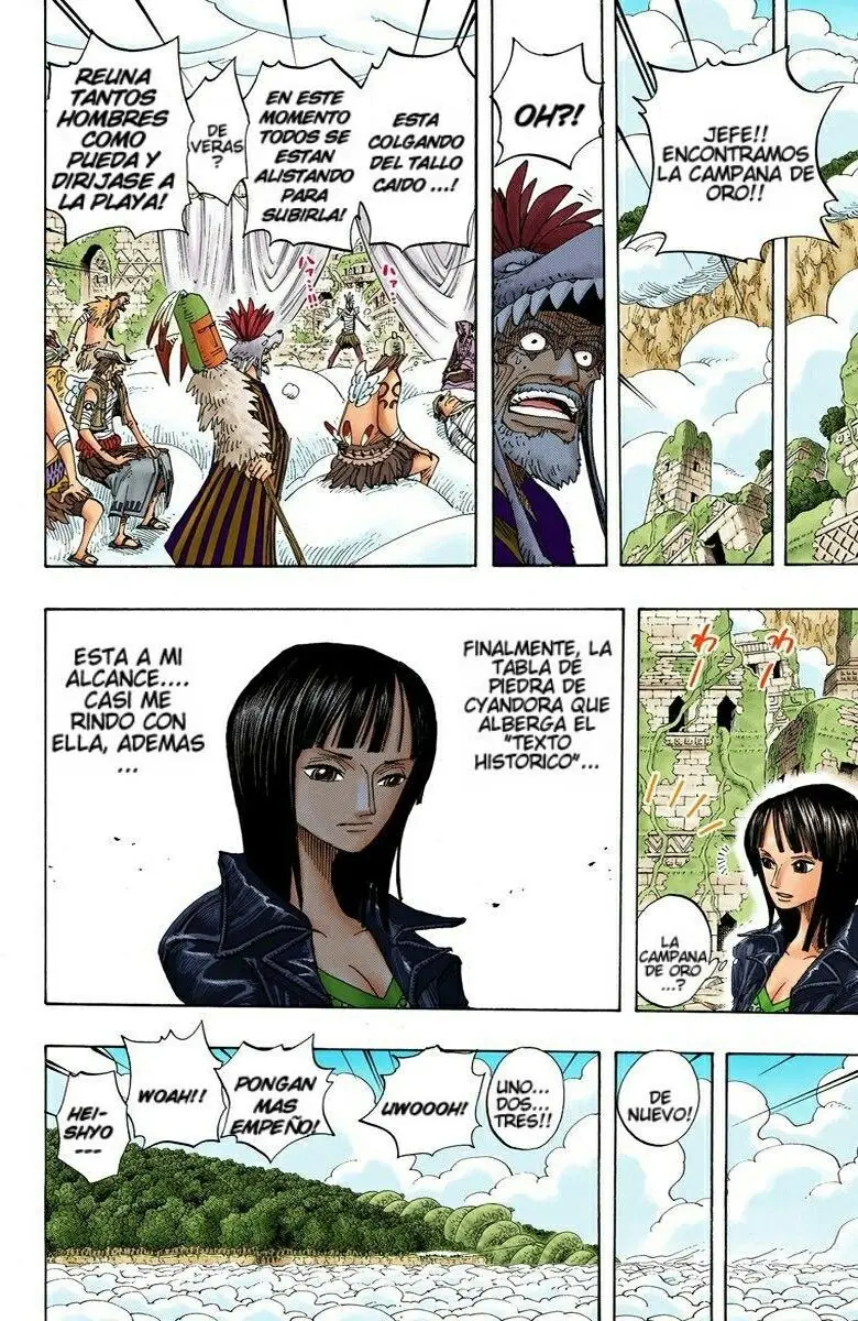One Piece color capítulo 301 página 4