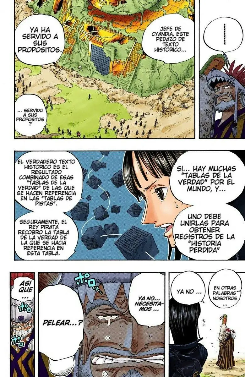 One Piece color capítulo 301 página 14