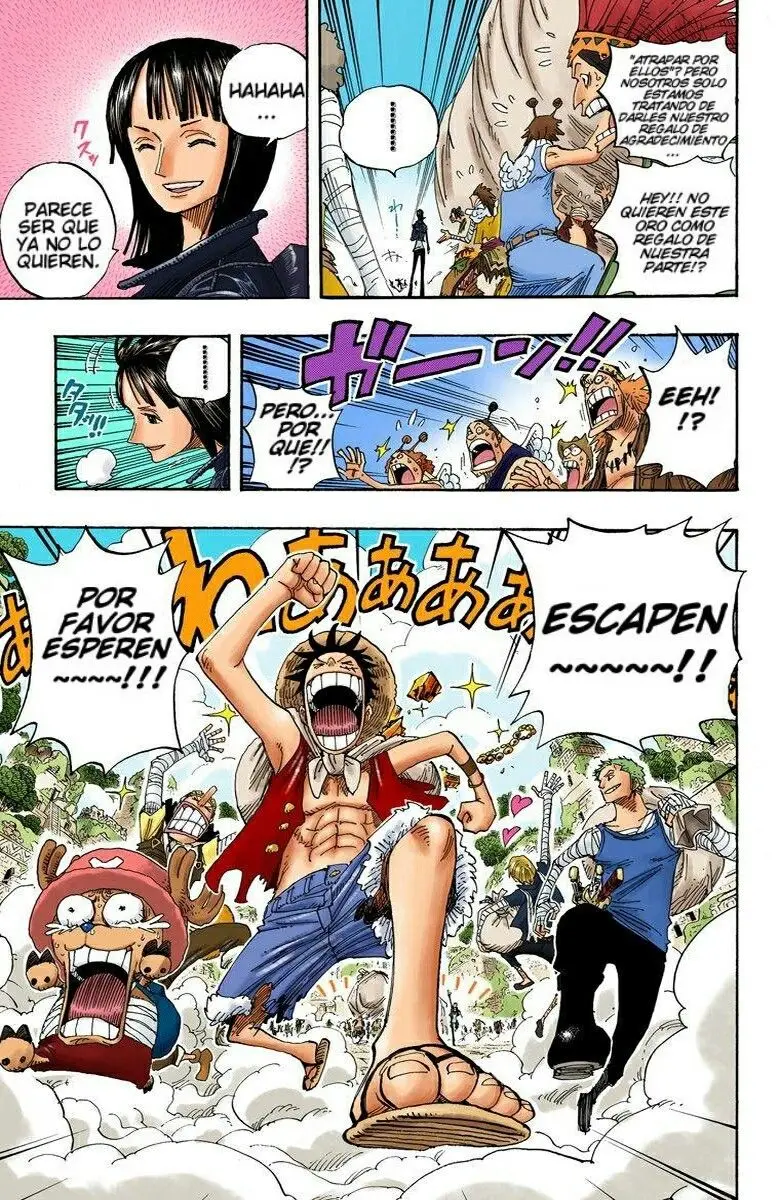 One Piece color capítulo 301 página 19