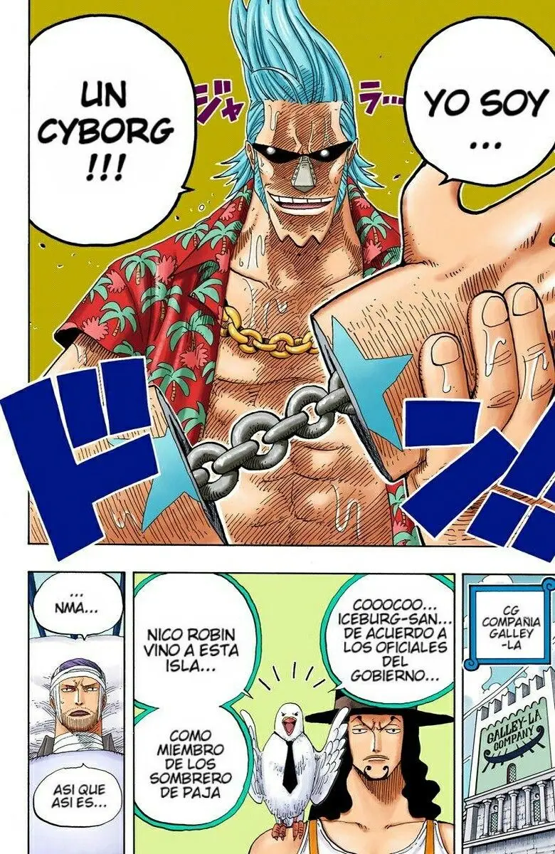 One Piece color capítulo 336 página 10