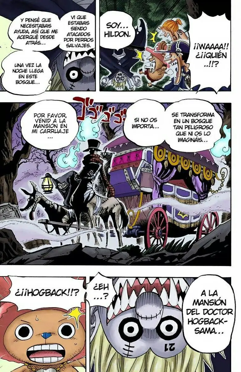 One Piece color capítulo 444 página 19