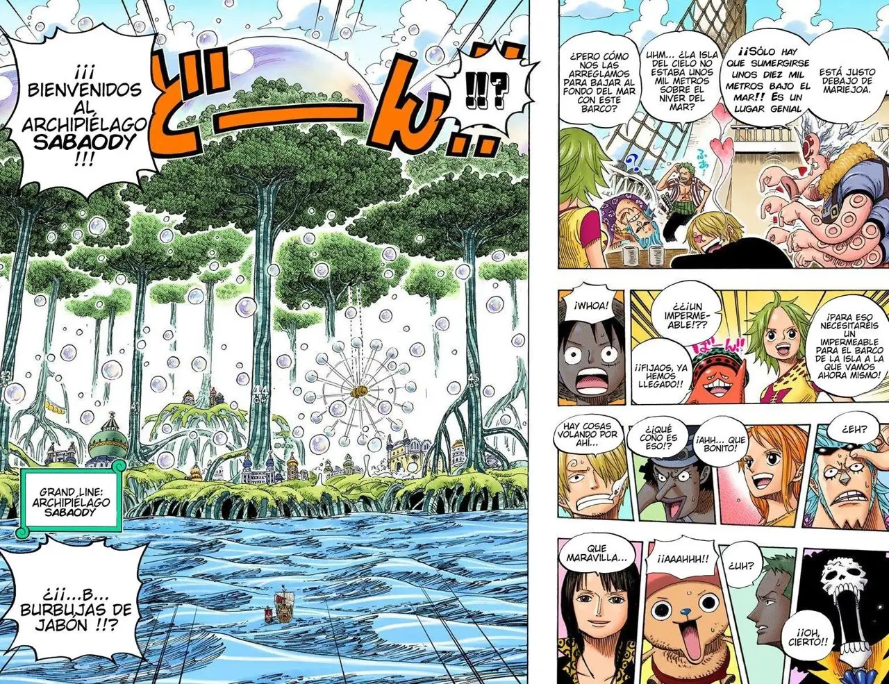 One Piece color capítulo 496 página 12