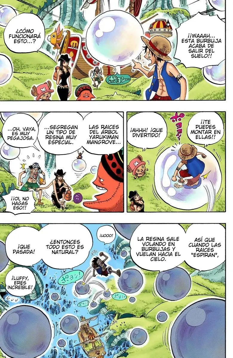 One Piece color capítulo 496 página 16