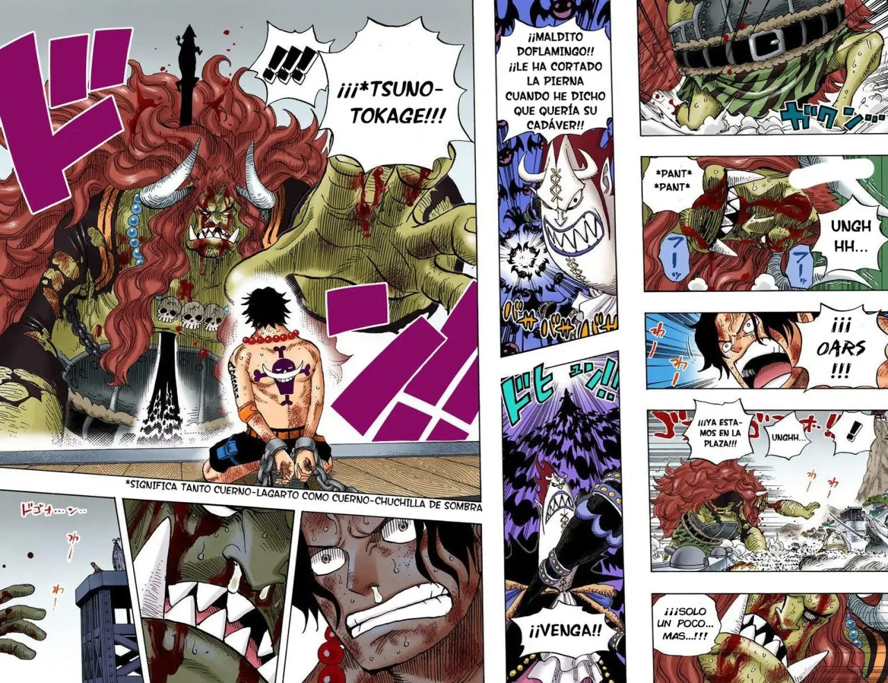 One Piece color capítulo 555 página 11