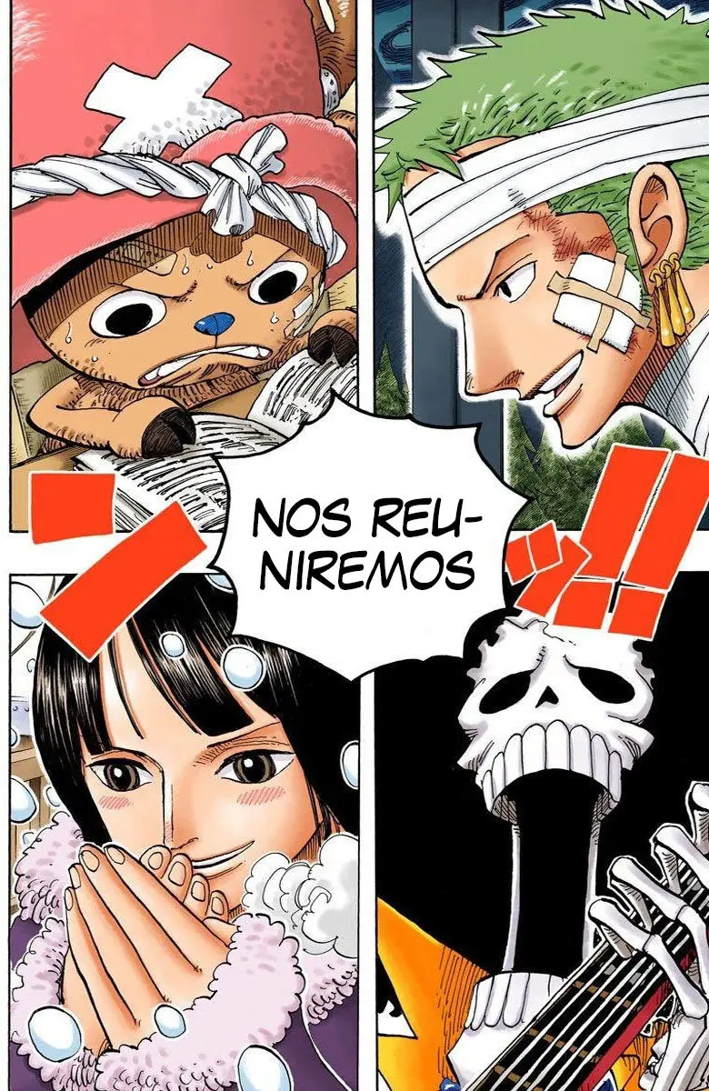 One Piece color capítulo 597 página 6