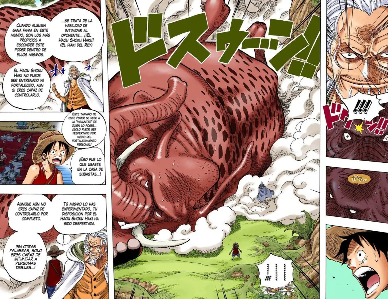 One Piece color capítulo 597 página 16