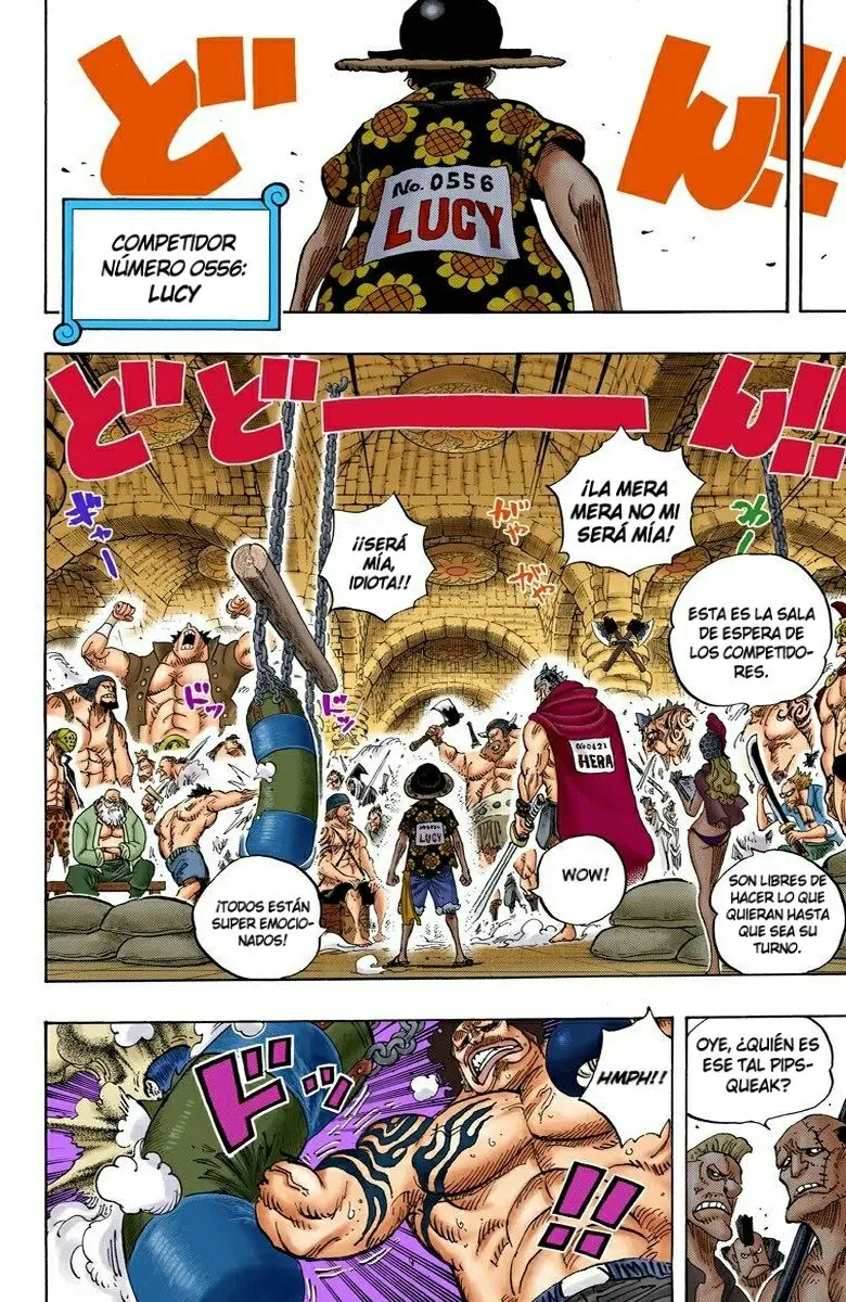 One Piece color capítulo 703 página 15