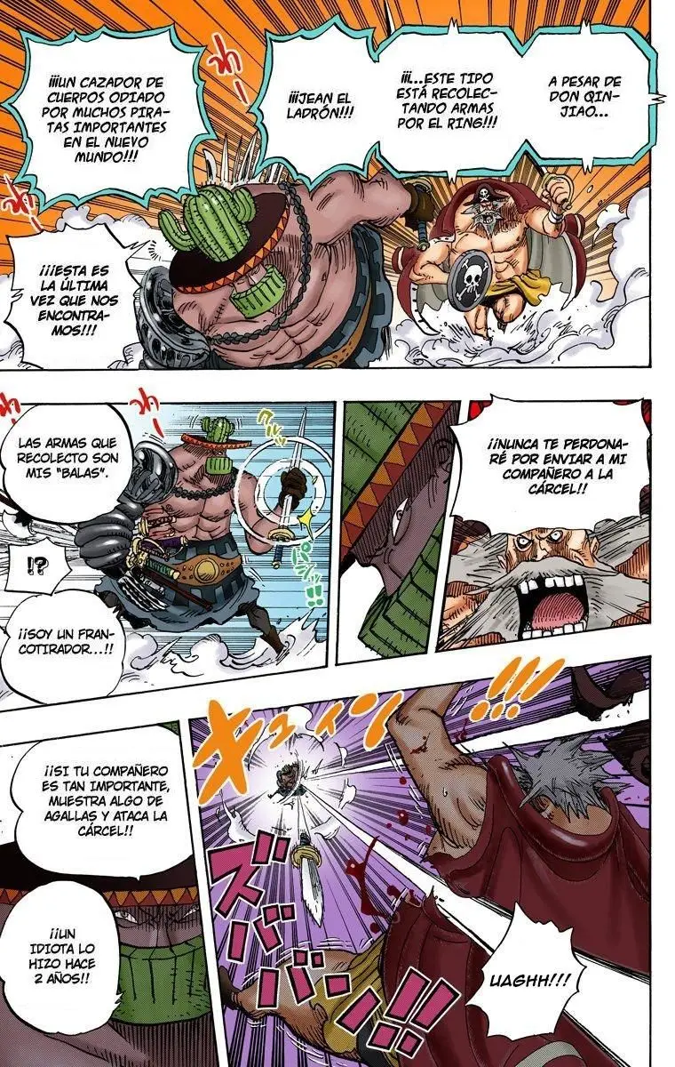 One Piece color capítulo 715 página 9