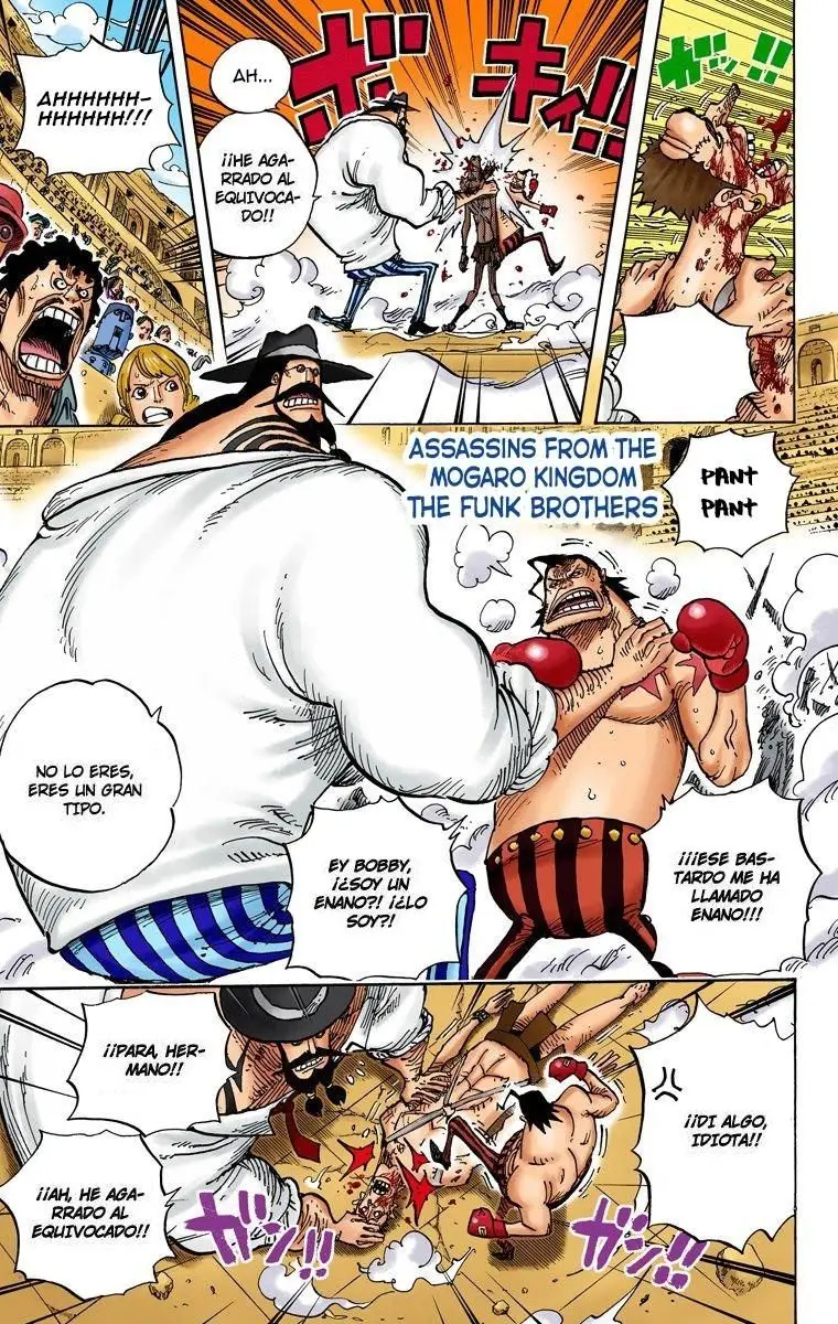 One Piece color capítulo 715 página 11
