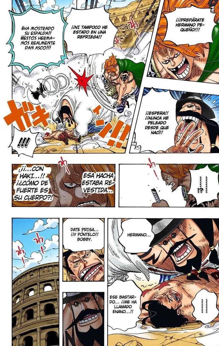 One Piece color capítulo 715 página 14