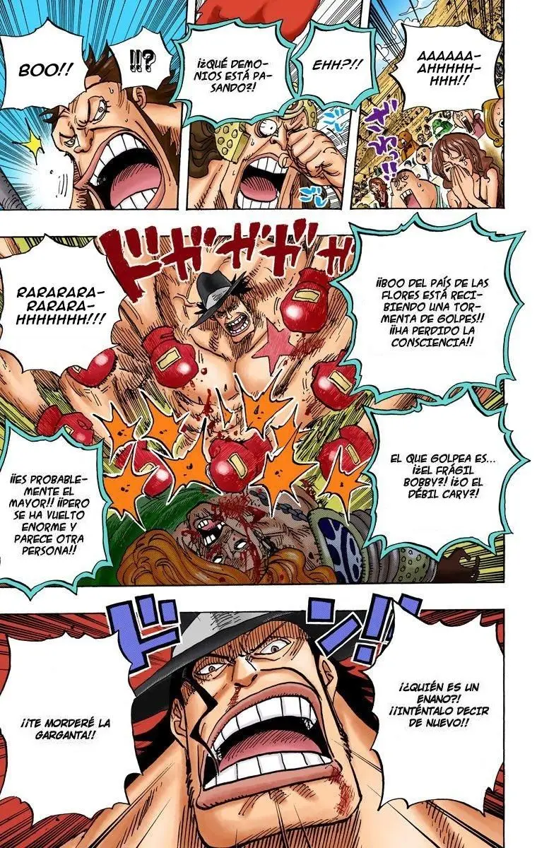 One Piece color capítulo 715 página 15