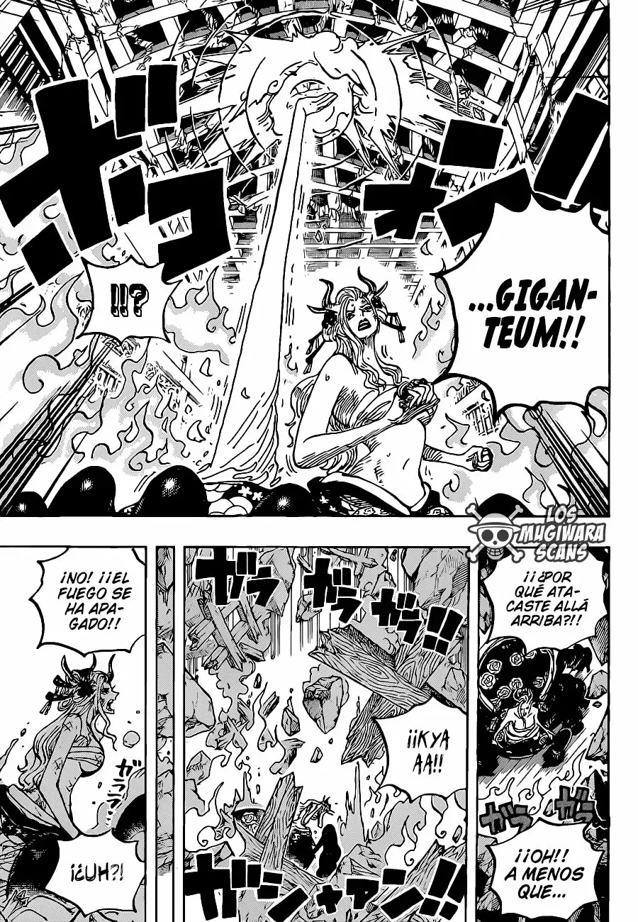 One Piece capítulo 1021.5 página 13