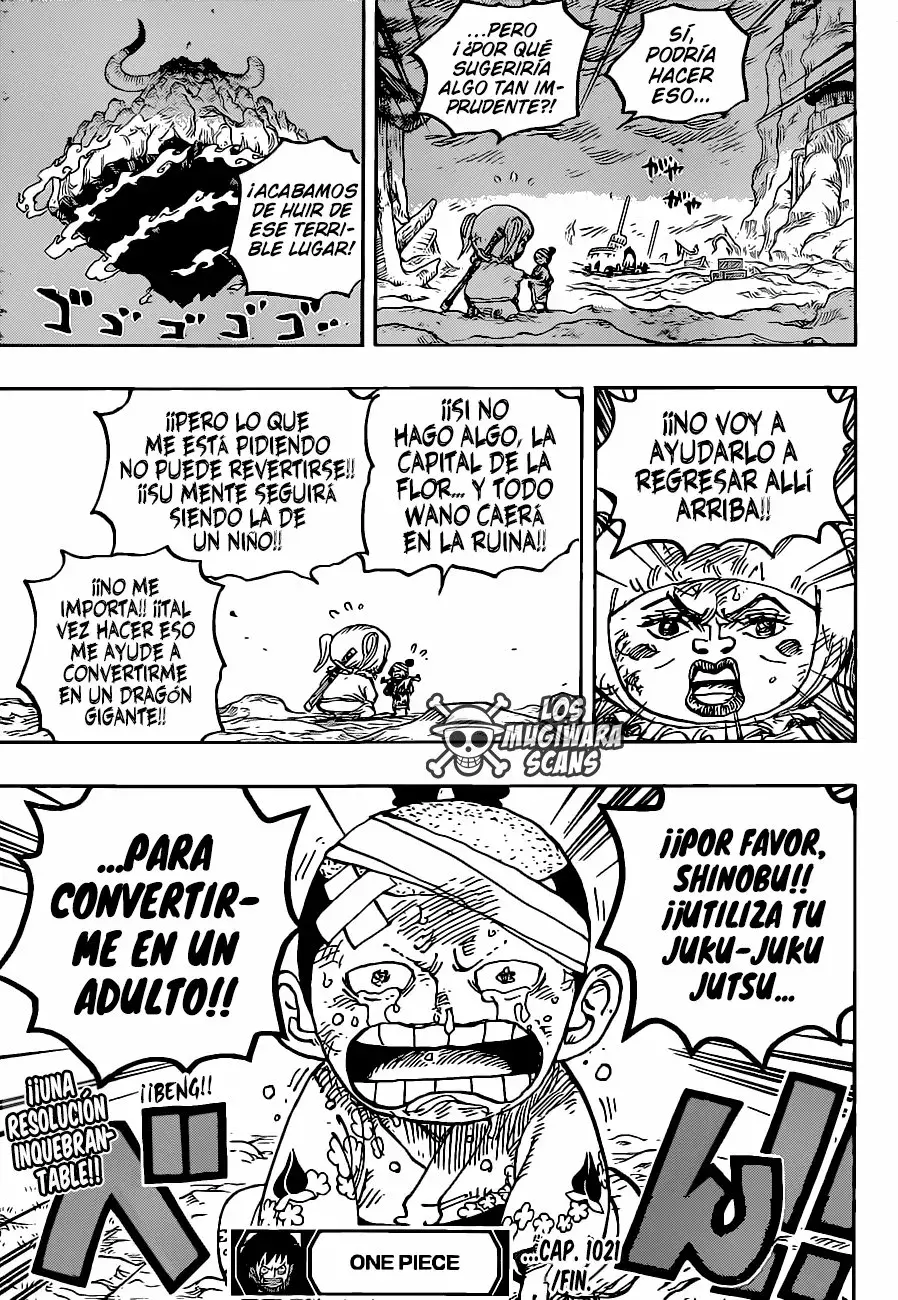 One Piece capítulo 1021.5 página 17