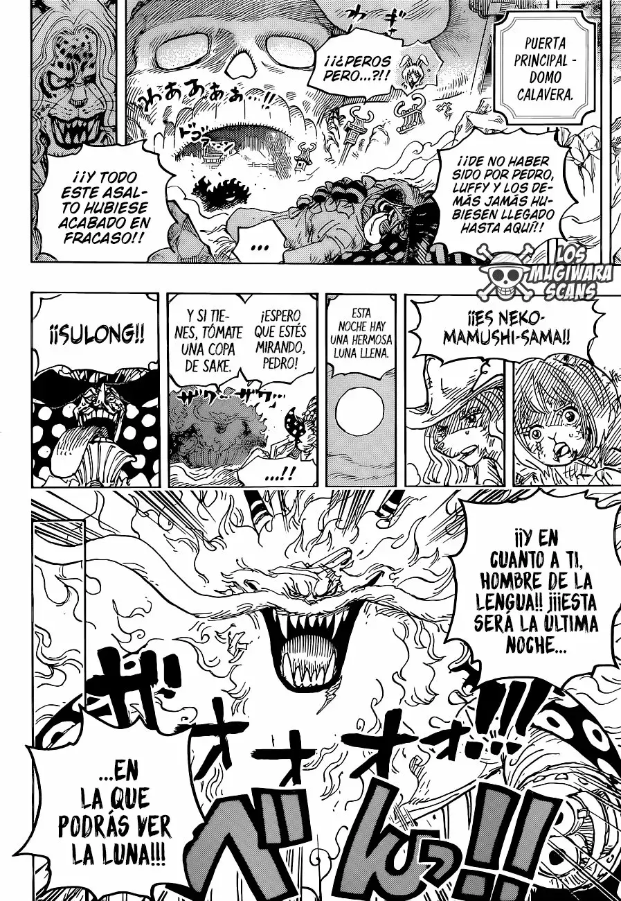 One Piece capítulo 1023.5 página 16