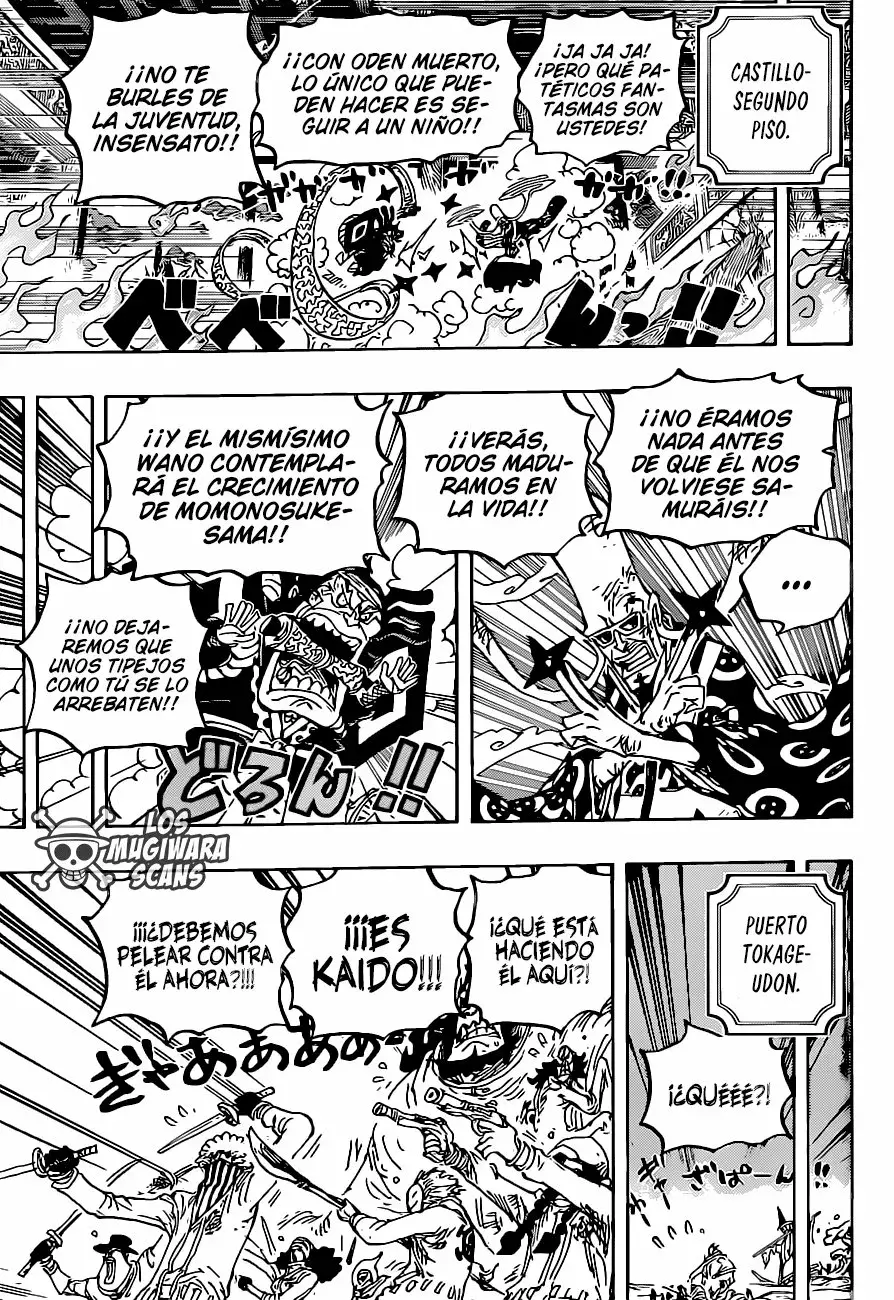 One Piece capítulo 1023.5 página 17