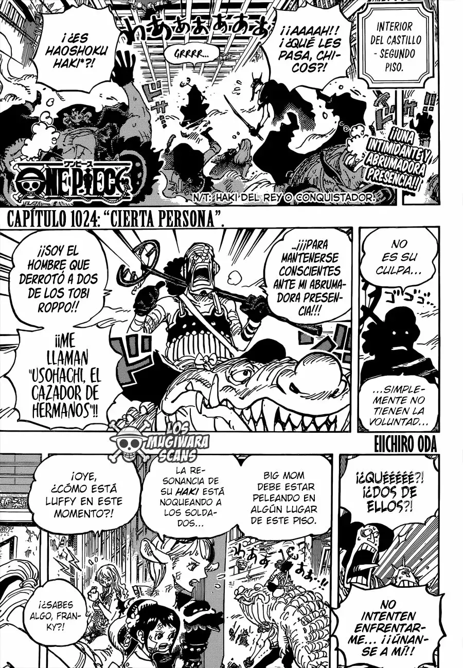 One Piece capítulo 1024.5 página 4
