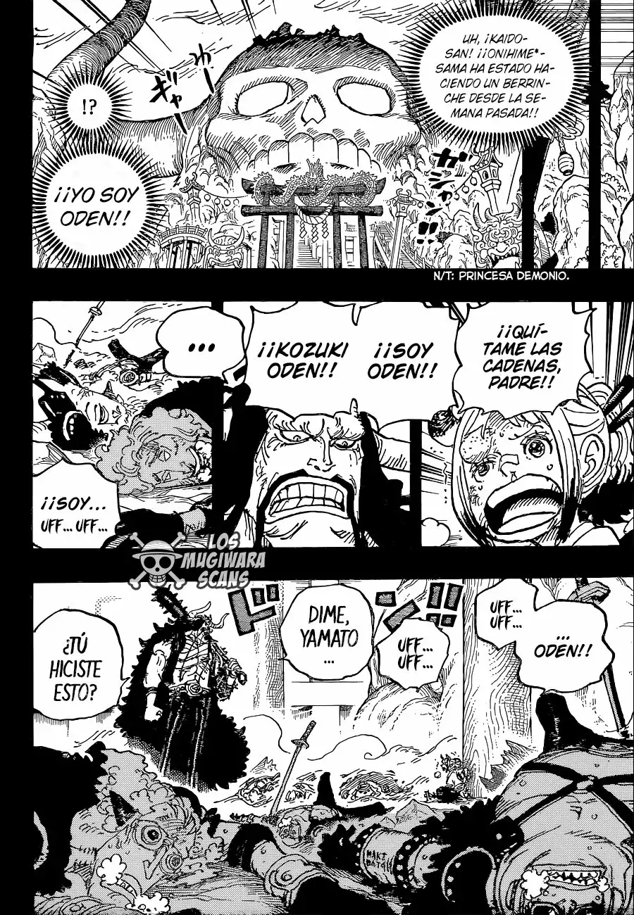 One Piece capítulo 1024.5 página 11