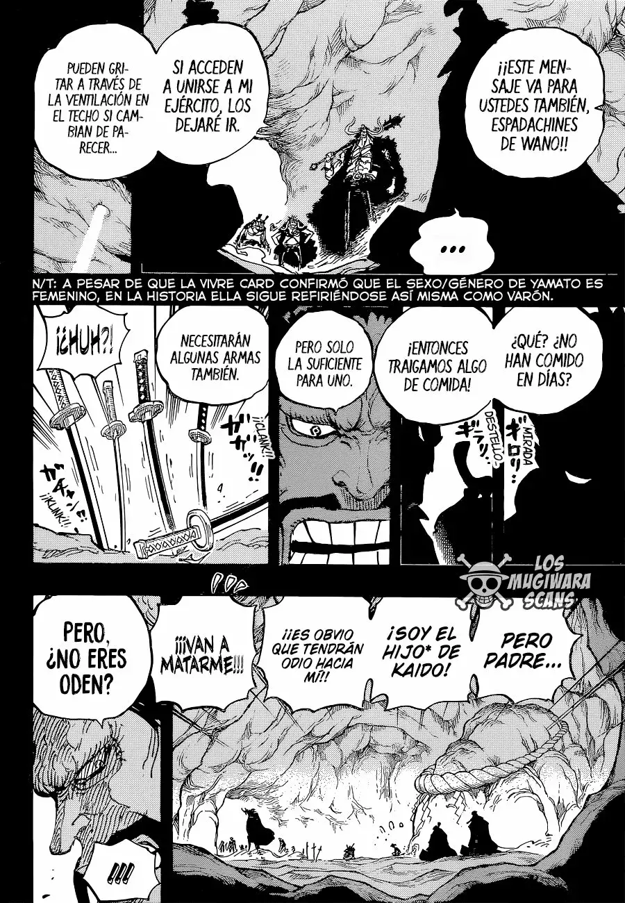 One Piece capítulo 1024.5 página 13