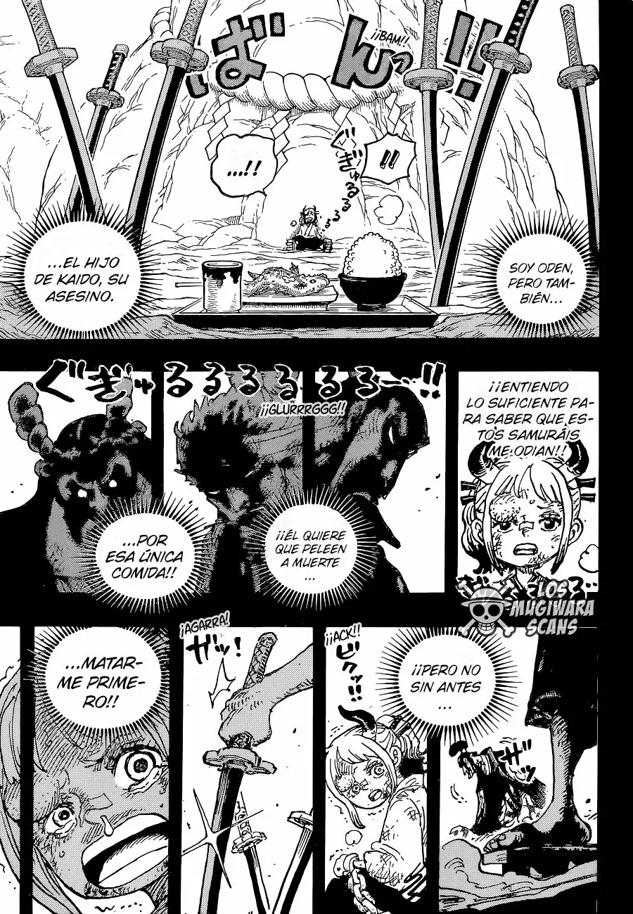 One Piece capítulo 1024.5 página 14