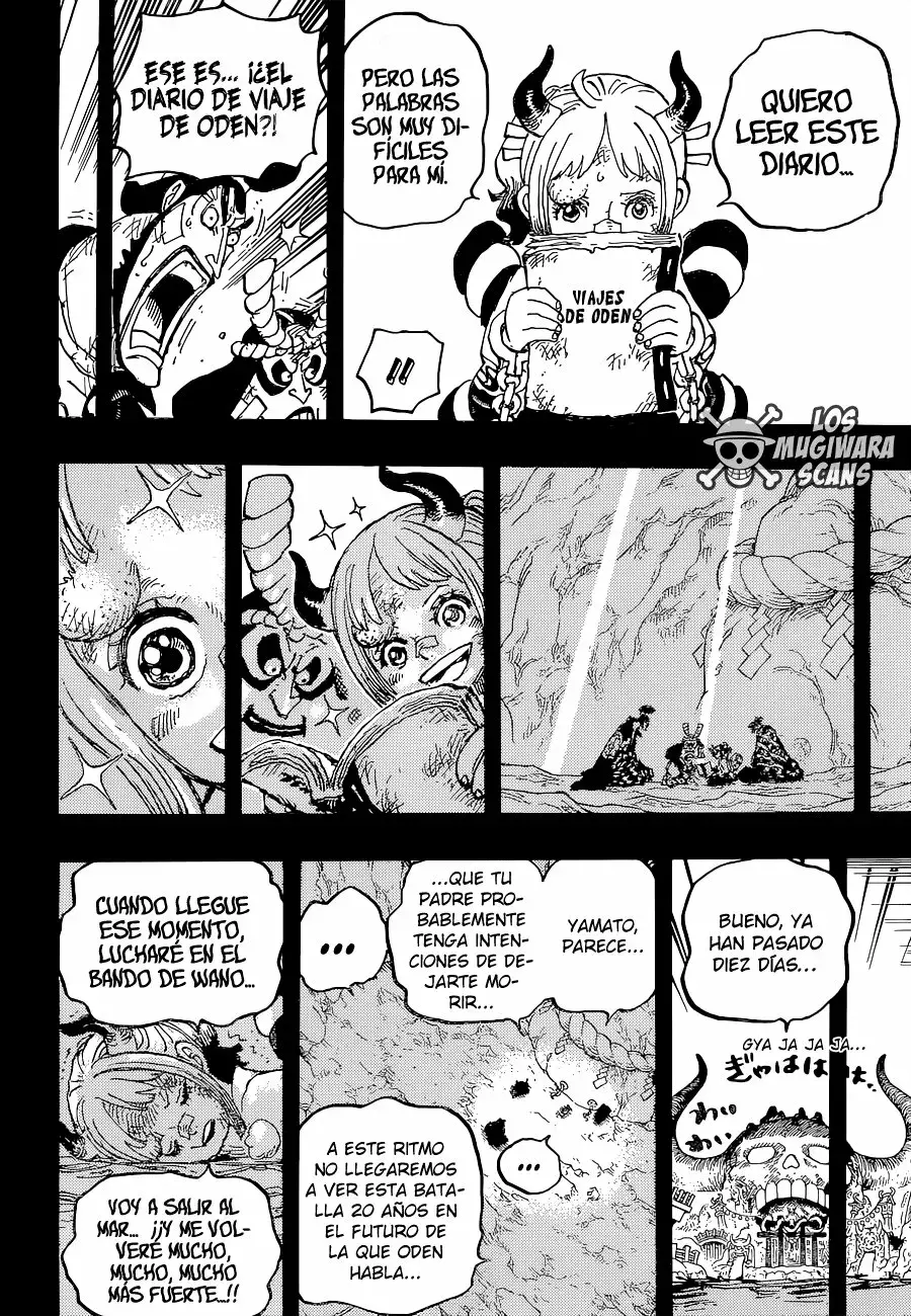 One Piece capítulo 1024.5 página 17