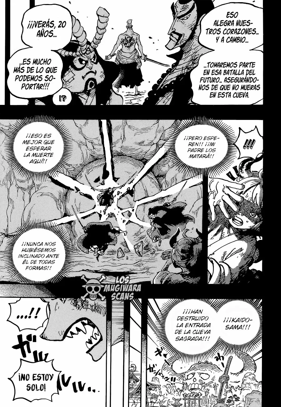 One Piece capítulo 1024.5 página 18