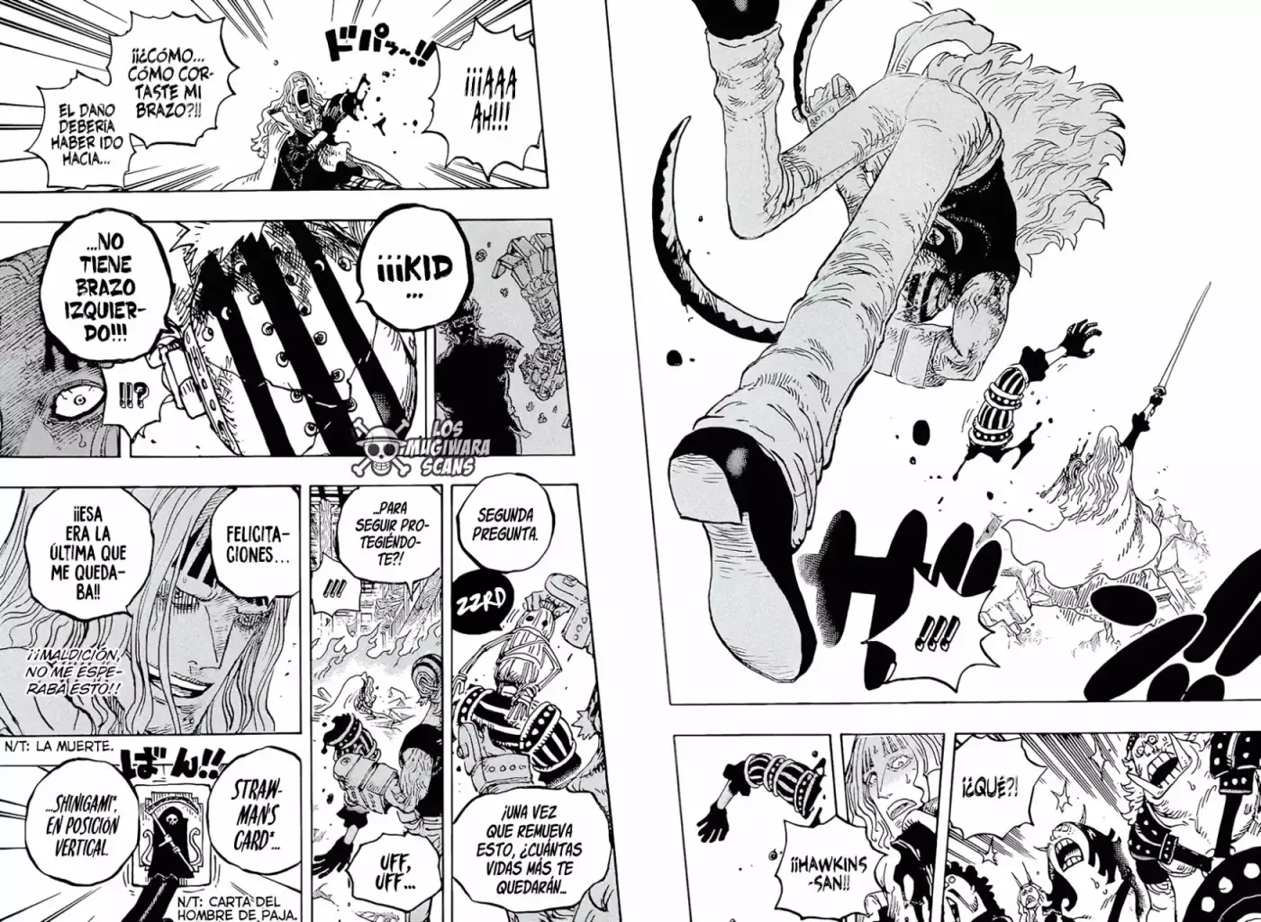 One Piece capítulo 1029.5 página 13
