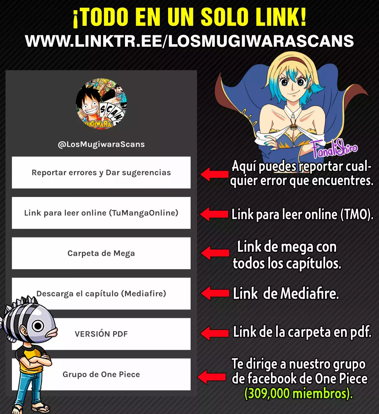 One Piece capítulo 1029.5 página 20