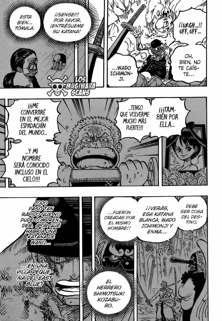 One Piece capítulo 1033.5 página 10