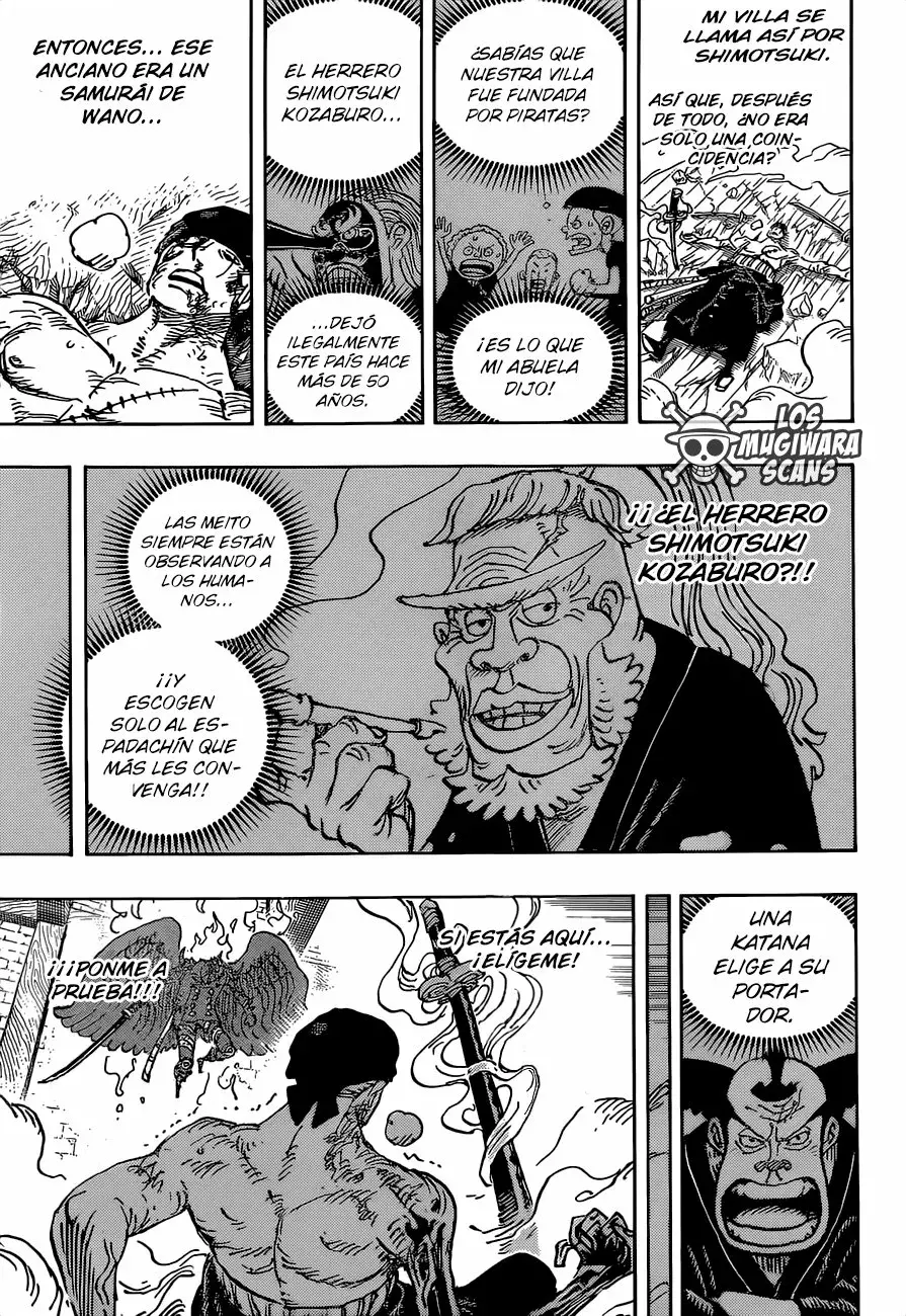 One Piece capítulo 1033.5 página 16