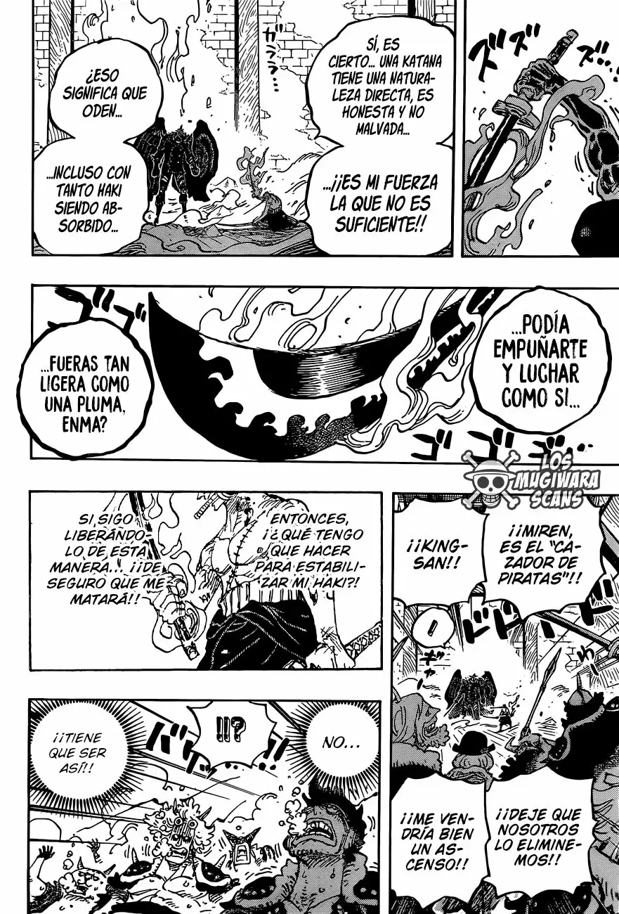 One Piece capítulo 1033.5 página 17