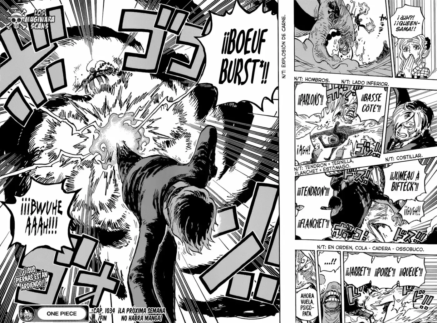 One Piece capítulo 1034.2 página 14