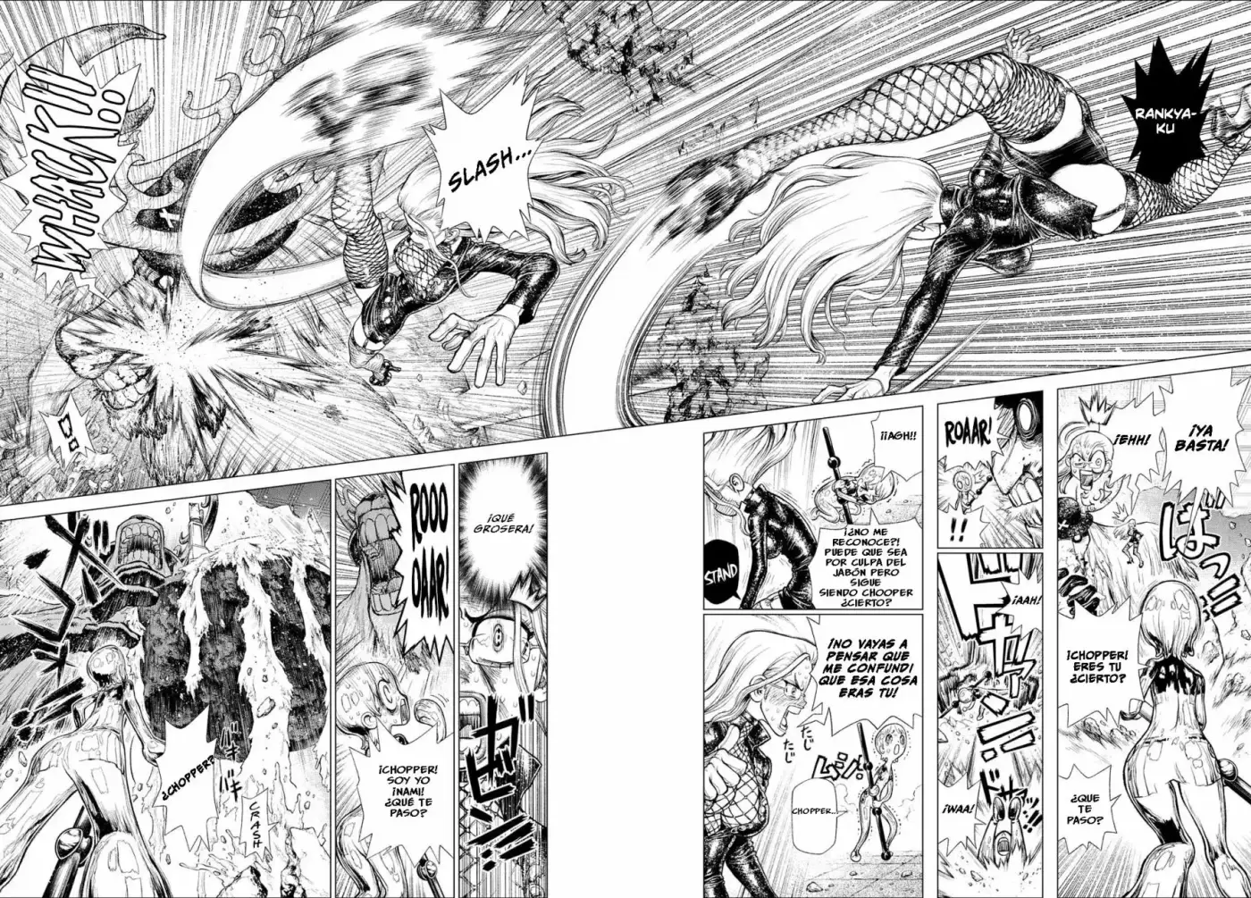 One Piece capítulo 411.5 página 15