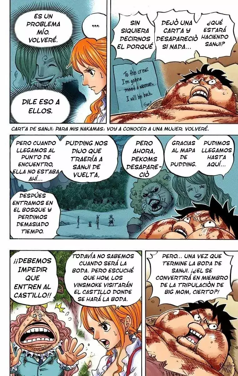 One Piece capítulo 843.5 página 8