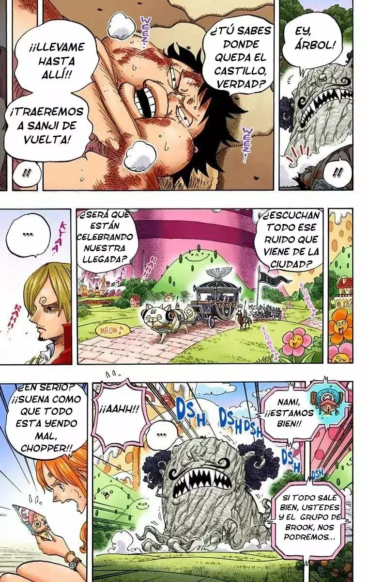 One Piece capítulo 843.5 página 9